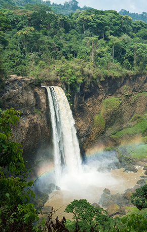 Cameroon